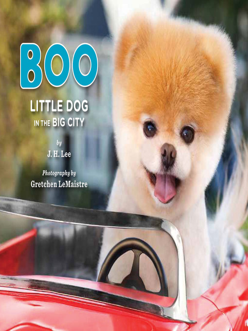 Title details for Boo by J. H. Lee - Available